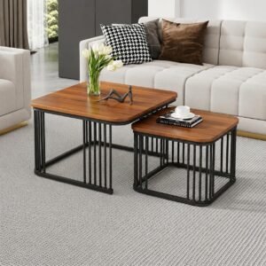 Rayan international Modern Wooden Nesting Coffee Table Set of 2 for Living Room